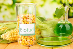 Leaden Roding biofuel availability